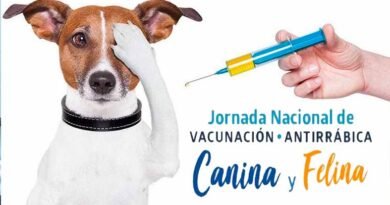 Vacunación Antirrábica