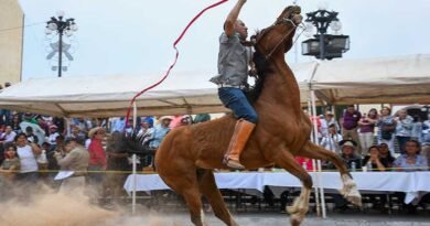 Feria Amealco