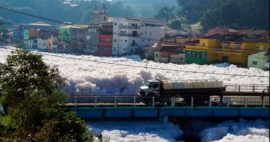 Espuma