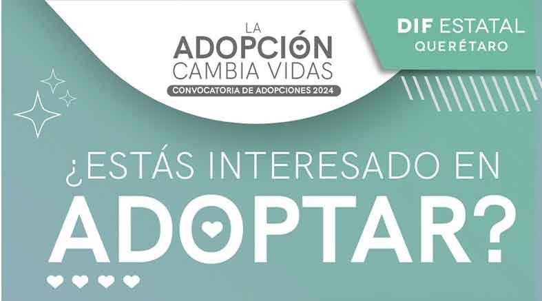 Adopciones 2024