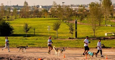 Carrera Canina