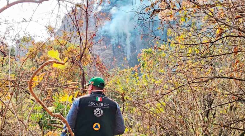 114 incendios