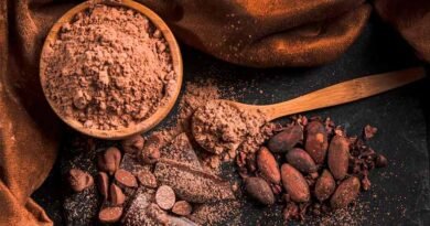 el cacao