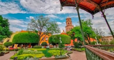Jardín Zenea