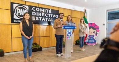 Acción Nacional