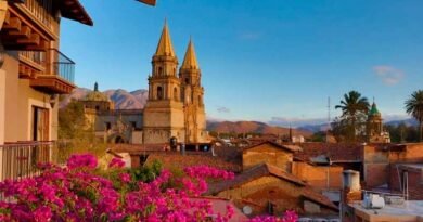 de Guadalajara